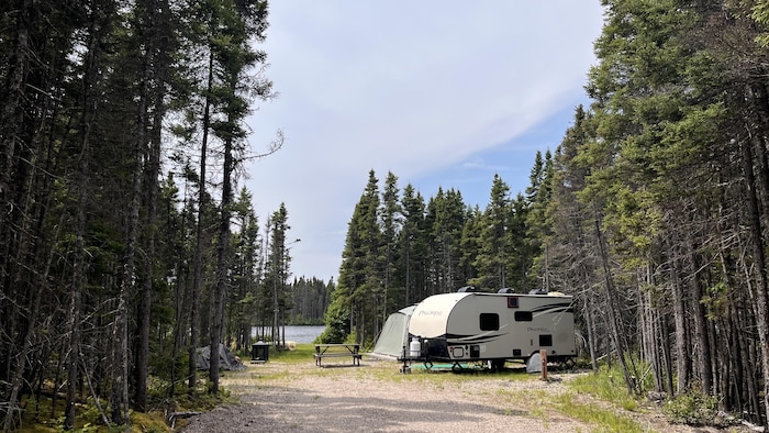 Une roulotte est installée en forêt près de la rivière Hall.