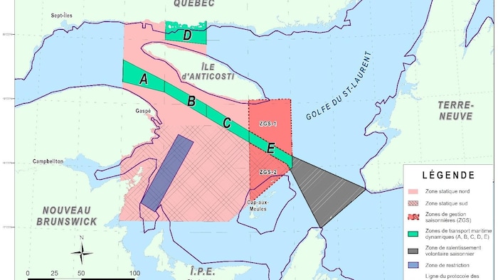 Une carte du golfe Saint-Laurent avec des zones colorées où des mesures de vitesses sont en place pour protéger les baleines. 