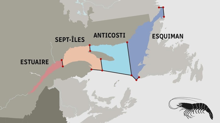 Les quatre zones de pêche à la crevette nordique dans le golfe du Saint-Laurent.