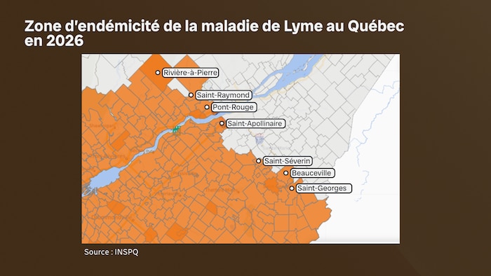 Rivière-à-Pierre, Saint-Raymond, Pont-Rouge, Saint-Apollinaire, Saint-Séverin, Beauceville, Saint-Georges.