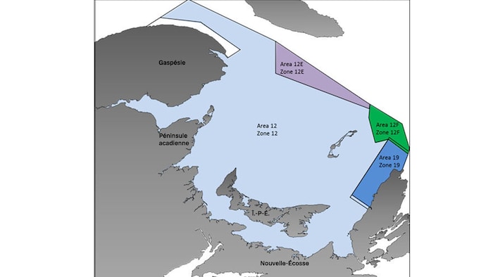 Une carte montrant les différentes zones de pêche.