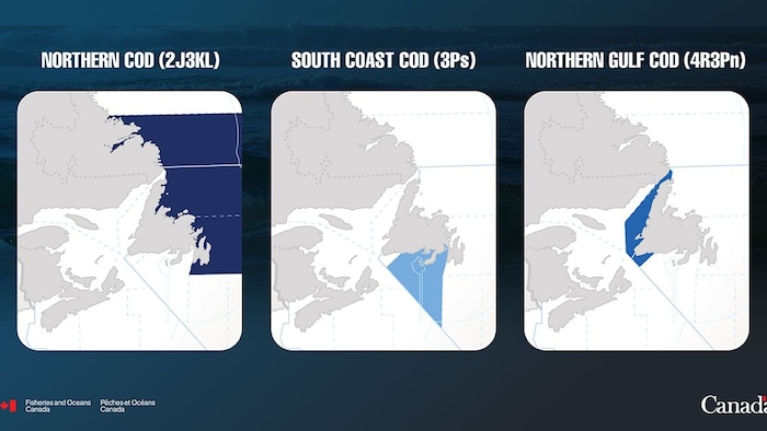 Cartes de Terre-Neuve-et-Labrador montrant des zones bleutées. 