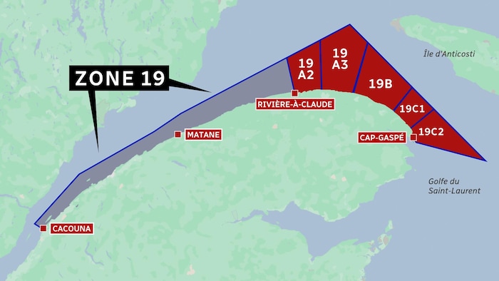 Une carte désignant la zone 19 pour la pêche au homard