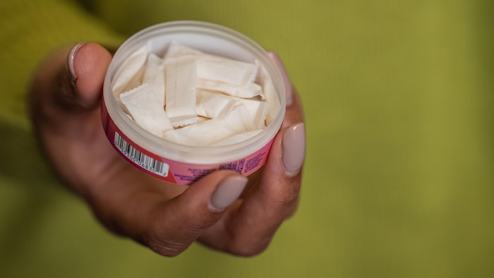 Les sachets de nicotine gagnent en popularit chez les jeunes | Radio-Canada