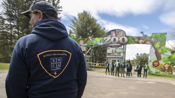 Zoo de Saint-Édouard : un juge autorise le transfert des animaux