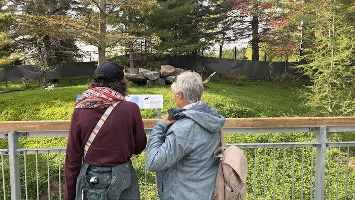 Deux dames regardent un habitat zoologique.