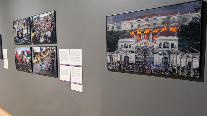 Des photos sur un mur.