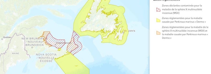 Une carte avec des zones entourées de couleurs, selon leur contamination au dermo ou à la MSX.