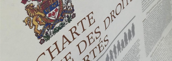 Close-up on the header of the charter.