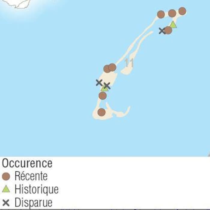 Une carte montre les îles de la Madeleine et l'occurence des populations d'aster. Certaines populations sont disparues.