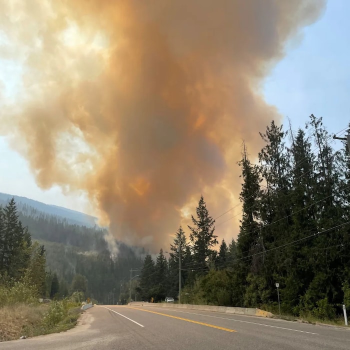 A wildfire believed to have been caused by a highway crash burns out of control near Sicamous, B.C., on July 20.