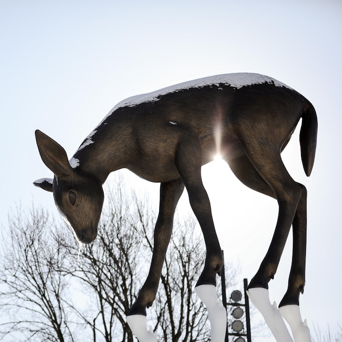 L'oeuvre La rencontre.