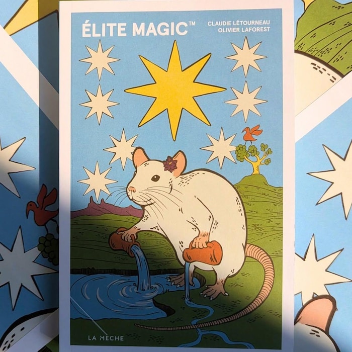 Couverture de livre montrant un rat blanc et des étoiles. 