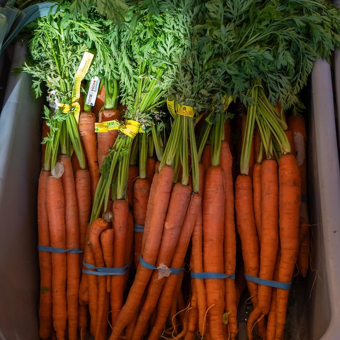 Des carottes dans un bac sur les étalages d'une épicerie à Vancouver.
