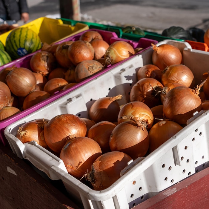 Des oignons dans un bac sur les étalages d'une épicerie à Vancouver.