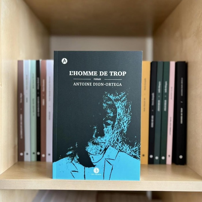 Une couverture de livre montre un pan de visage.