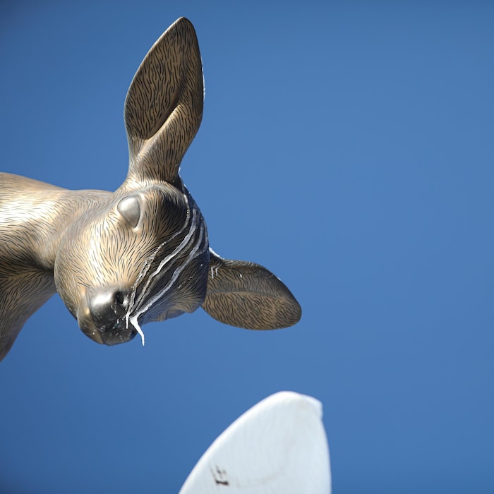 La population de Québec s'est rapidement prise d'affection pour les deux cerfs de «La rencontre», une oeuvre d'art publique installée à la place Jean-Béliveau, devant le Centre Vidéotron,.