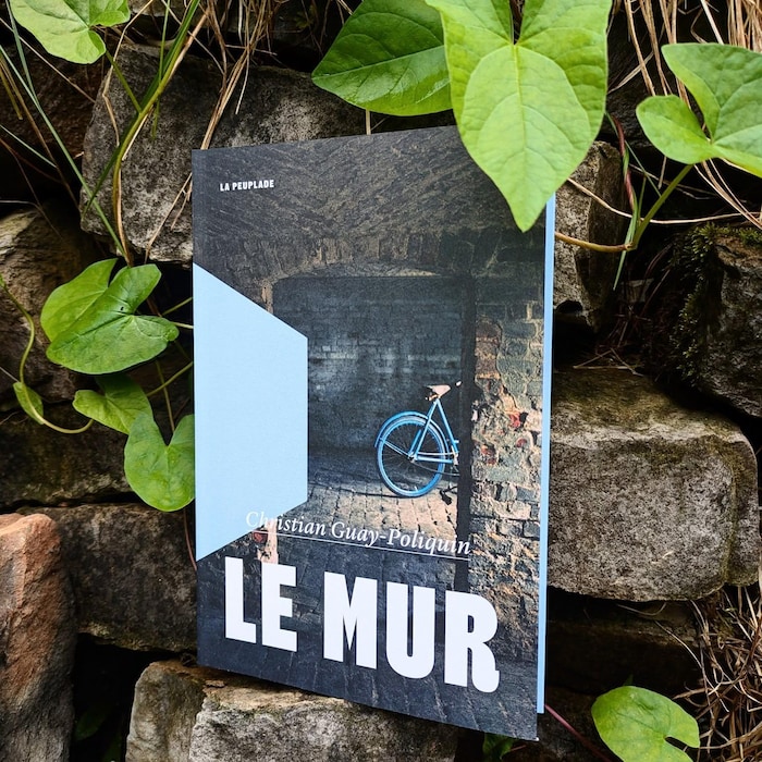 Couverture de livre montrant l'arrière d'un vélo bleu. 