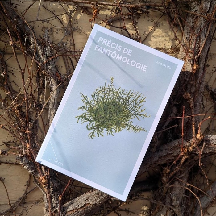 Un livre est posé au milieu de brindilles. 