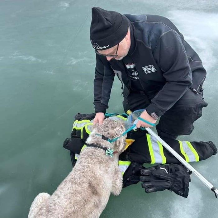 Un homme et un chien sur un lac glacé.