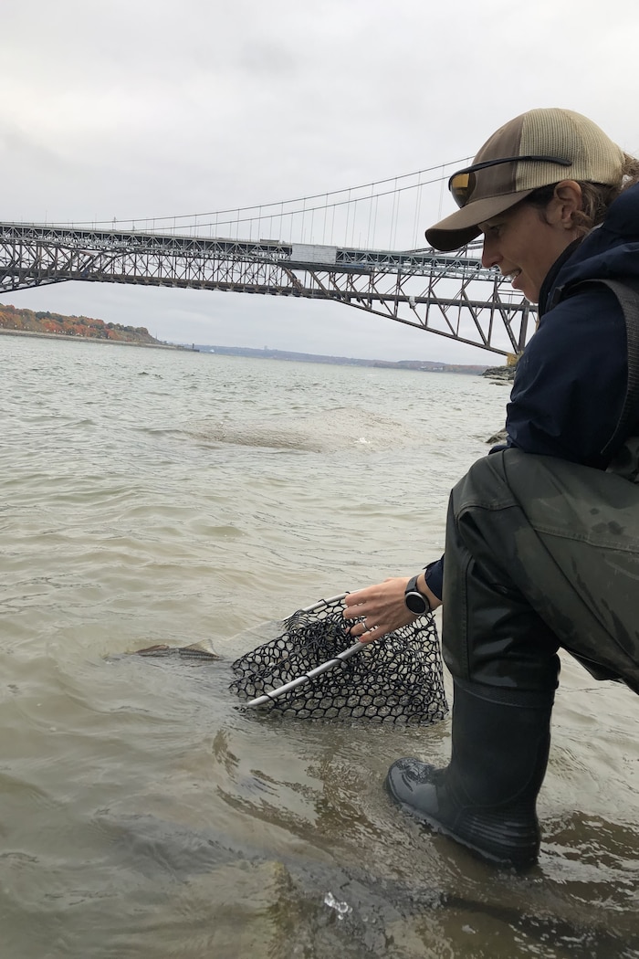 Une femme remet un poisson à l'eau.