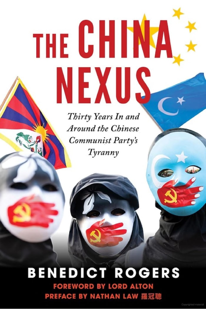 cover of The China Nexus