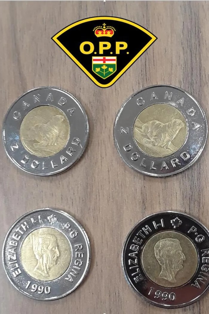 OPP in Hawkesbury say they've been alerted to fake toonies that were used at a store earlier this week. They're warning people not to fall victim to the fraud. 