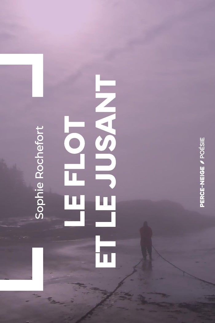 Couverture d'un livre montant un bord de mer. 