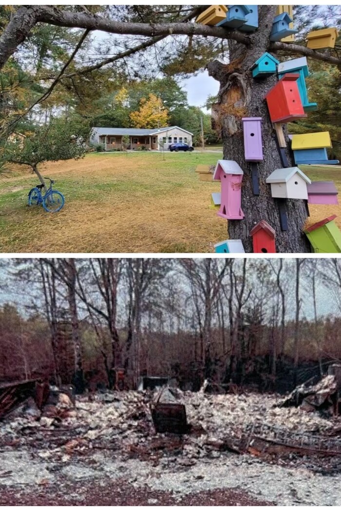 Une petite maison entourée d'arbre et un amas de cendre.