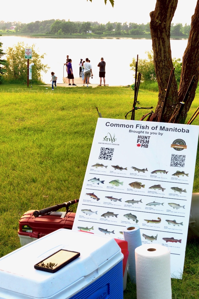 Un panneau indique les poissons les plus communs au Manitoba.