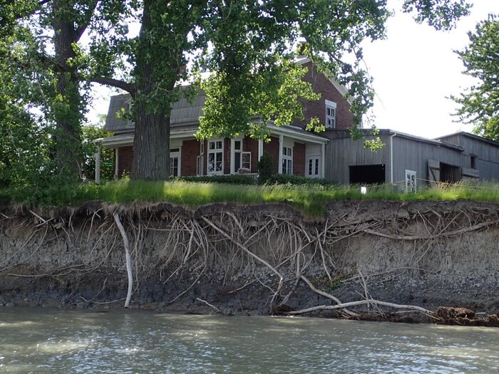 L'érosion fait apparaître les racines des arbres devant la maison Durocher.