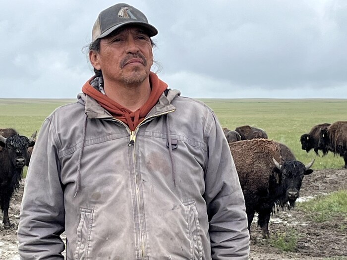 Un homme devant des bisons. 