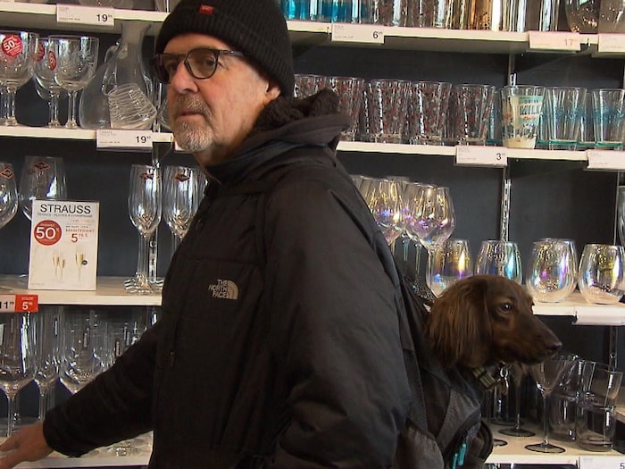 Un homme porte son chien dans un sac à dos.