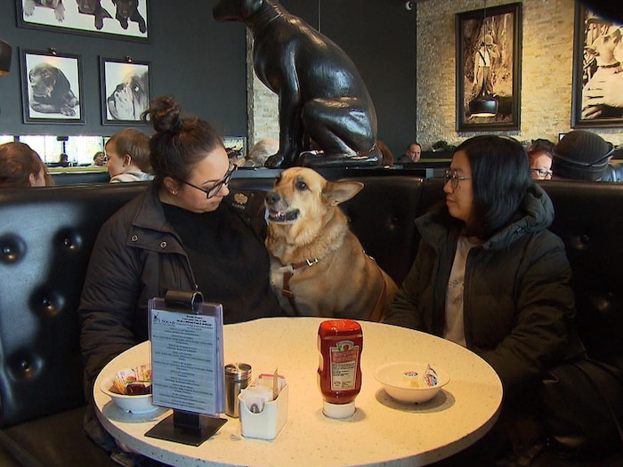 Deux filles et un chien autour d'une table dans le restaurant Hot Dog et cie