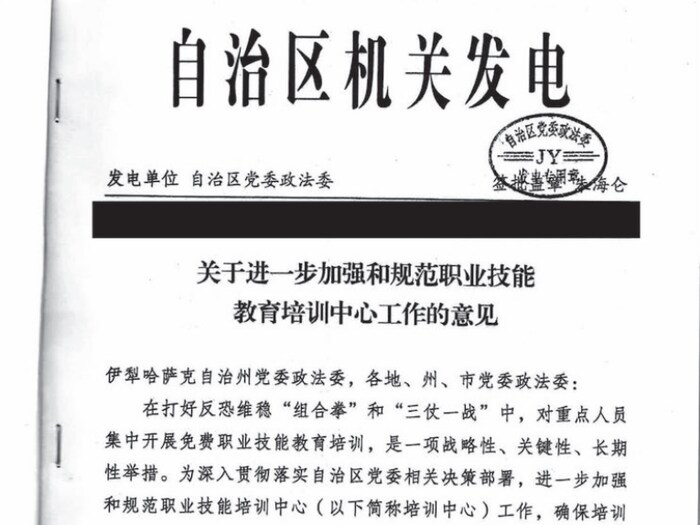 Une capture d'écran montre la première page d'un document rédigé en mandarin.