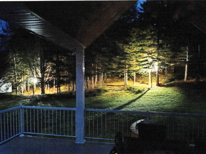 Un boisé éclairé, la nuit.