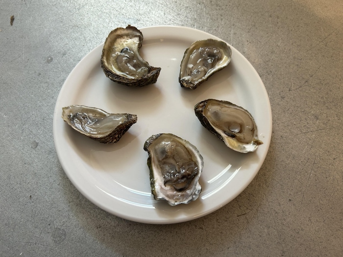 Des huîtres dans une assiette.