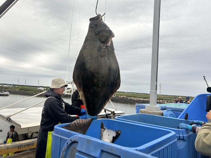 Un poisson est sorti de l'eau.