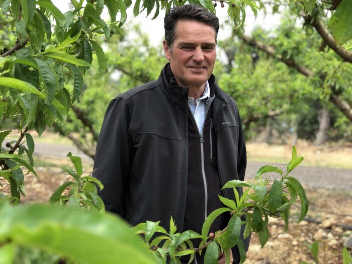 Serge Avy sous un arbre.