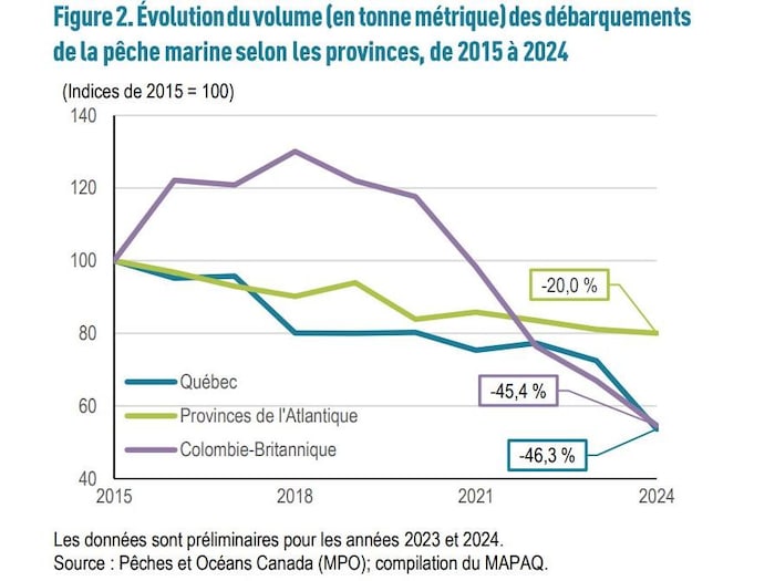 Un graphique montre que les volumes des débarquements ont chuté de 20% dans les provinces de l'Atlantique, de 46,3% au Québec et de 45,4% en Colombie-Britannique.
