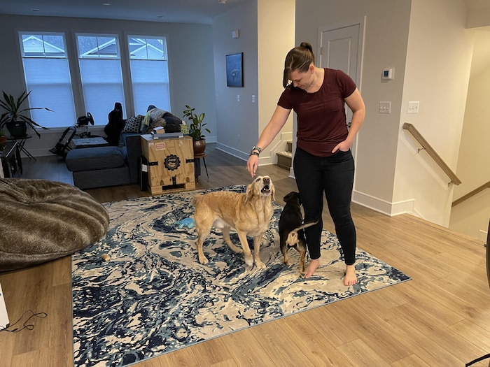Nikki Cheshire joue avec ses chiens dans sa résidence.
