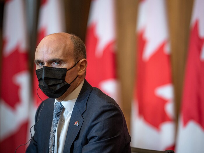 Jean-Yves Duclos, le visage recouvert d'un masque de protection, regarde en direction de l'appareil photo devant une rangée de drapeaux canadiens.