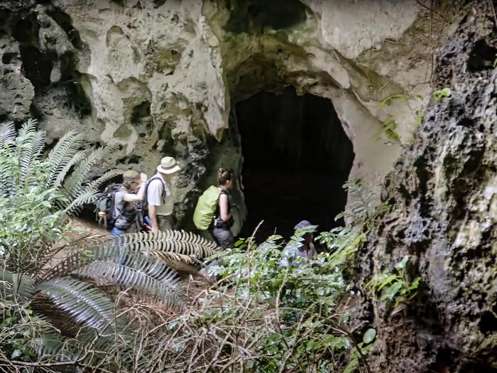 Des archéologues entrent dans la grotte nichée au coeur d'une forêt, près de la côte kényane où ont été découverts les restes d'un enfant de 3 ans nommé Mtoto.