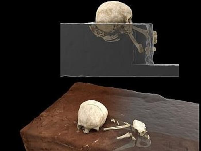 Reconstruction 3D de la disposition des restes de l'enfant.