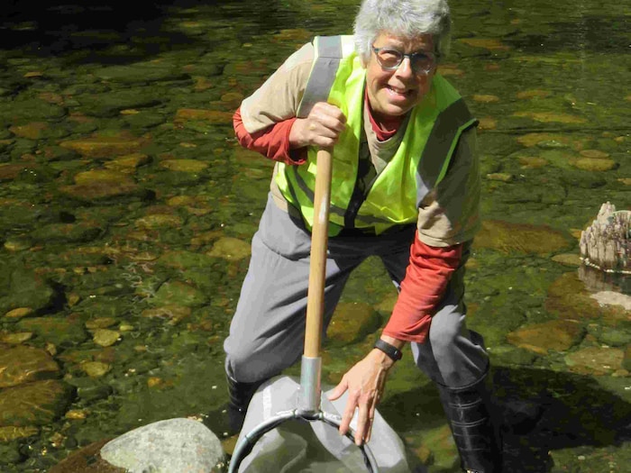 Lise Laguë a les pieds dans une rivière avec une épuisette.