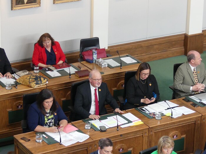 La députée dans Mount Pearl Nord, Lucy Stoyles, garde sa sacoche dans le siège vacant du député dans Humber-Gros Morne, Andrew Furey, absent de la Chambre d'assemblée de Terre-Neuve-et-Labrador depuis la reprise des travaux parlementaires le 12 mai.