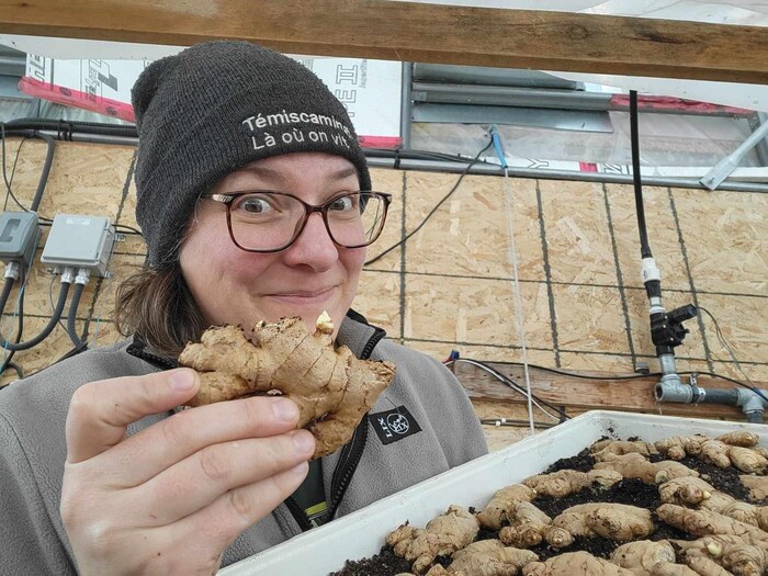 Madeleine Olivier tient du gingembre dans une main. De l'autre, un plateau de plants de gingembre sur de la terre.
