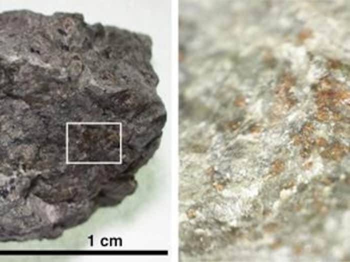 Un fragment du météorite Allan Hills 84001.