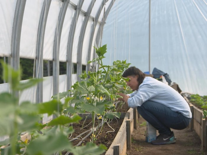 Une personne prépare son potager.
