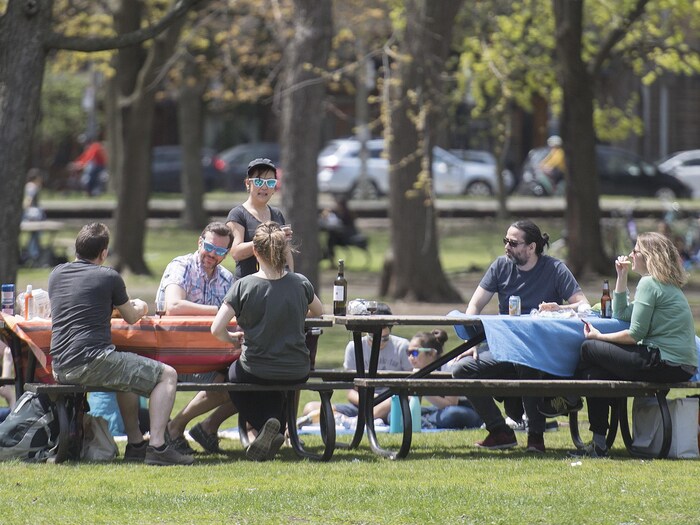 Six personnes sont assises à des tables à pique-nique, à distance réglementaire en temps de pandémie, dans un parc de Montréal.